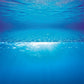 Juwel Background Poster 2