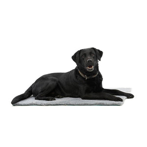 Kruuse Vet Bed Grey