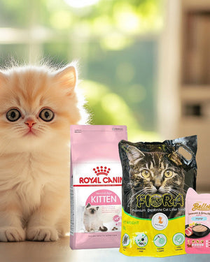 Ultimate Kitten Starter Combo | Food, Litter & Wet Food