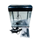 PF-285 Glass Aquarium with LED Light & Filter – 13L