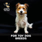TastyBone Nylon Toy Dog - Lamb