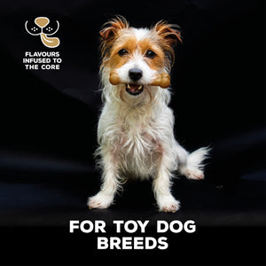 TastyBone Nylon Toy Dog - Lamb