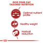 Feline Health Nutrition Fit 32