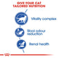 Feline Health Nutrition Indoor 7+ Years 1.5 KG