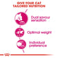 Feline Health Nutrition Exigent Savour