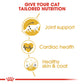 Feline Breed Nutrition Maine Coon Adult 2 KG