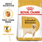Breed Health Nutrition Labrador Adult 12 KG