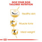 Breed Health Nutrition Pug Adult 1.5 KG