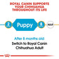 Breed Health Nutrition Chihuahua Puppy 1.5 KG