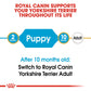 Breed Health Nutrition Yorkshire Puppy 1.5 KG