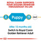 Breed Health Nutrition Golden Retriever Puppy 12 KG