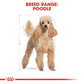 Breed Health Nutrition Poodle Adult Wet Food - 85g