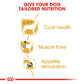 Breed Health Nutrition Poodle Adult Wet Food - 85g