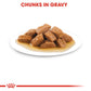 Size Health Nutrition Medium Adult Wet Food - 140g