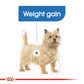 Canine Care Nutrition Mini Light Weight Care 3 KG