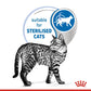 Feline Health Nutrition Indoor Wet Food - 85g