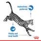Feline Health Nutrition Indoor 7+ Wet Food - 85g