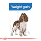 Canine Care Nutrition Medium Light Weight Care
