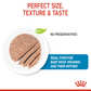 Canine Health Nutrition Starter Mousse Wet Food Can - 195g