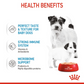 Canine Health Nutrition Starter Mousse Wet Food Can - 195g