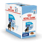 Size Health Nutrition Maxi Puppy Wet Food - 140g