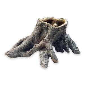 Hobby Stump Cavity 1