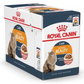 Feline Care Nutrition Hair & Skin Gravy Wet Food - 85g