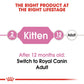Feline Health Nutrition Kitten
